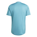 Camisa Cruzeiro 2025/26 Treino